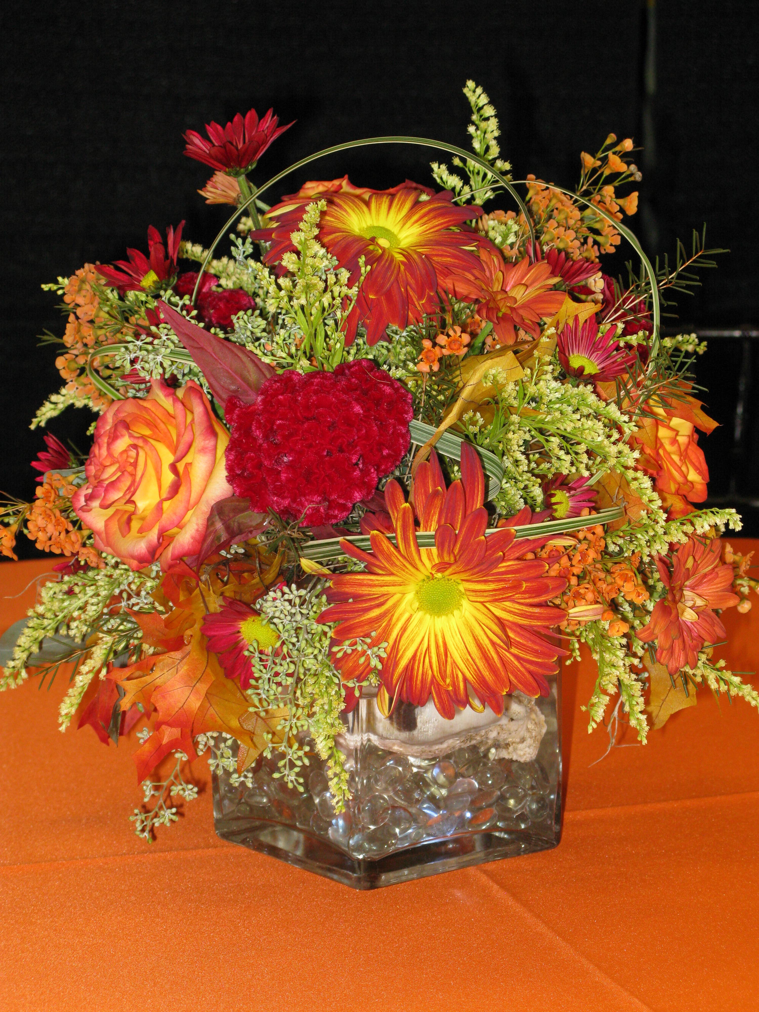 Fall Arrangement In Square Vase Williamsburg Floral