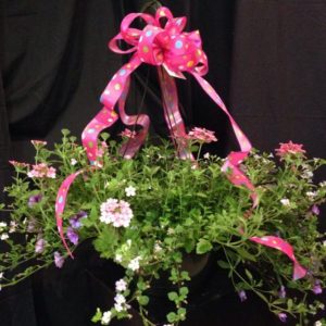 Williamsburg Floral has a variety of live plant gift options available to florist customers at all times. This live plant basket includes purple petunias and pink vibernum.